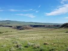 USA-Wyoming-Pryor Mountains Cattle Drives